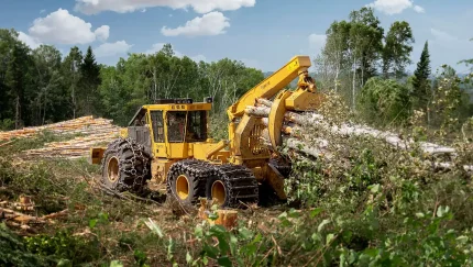 SKIDDER 635H TIGERCAT 03