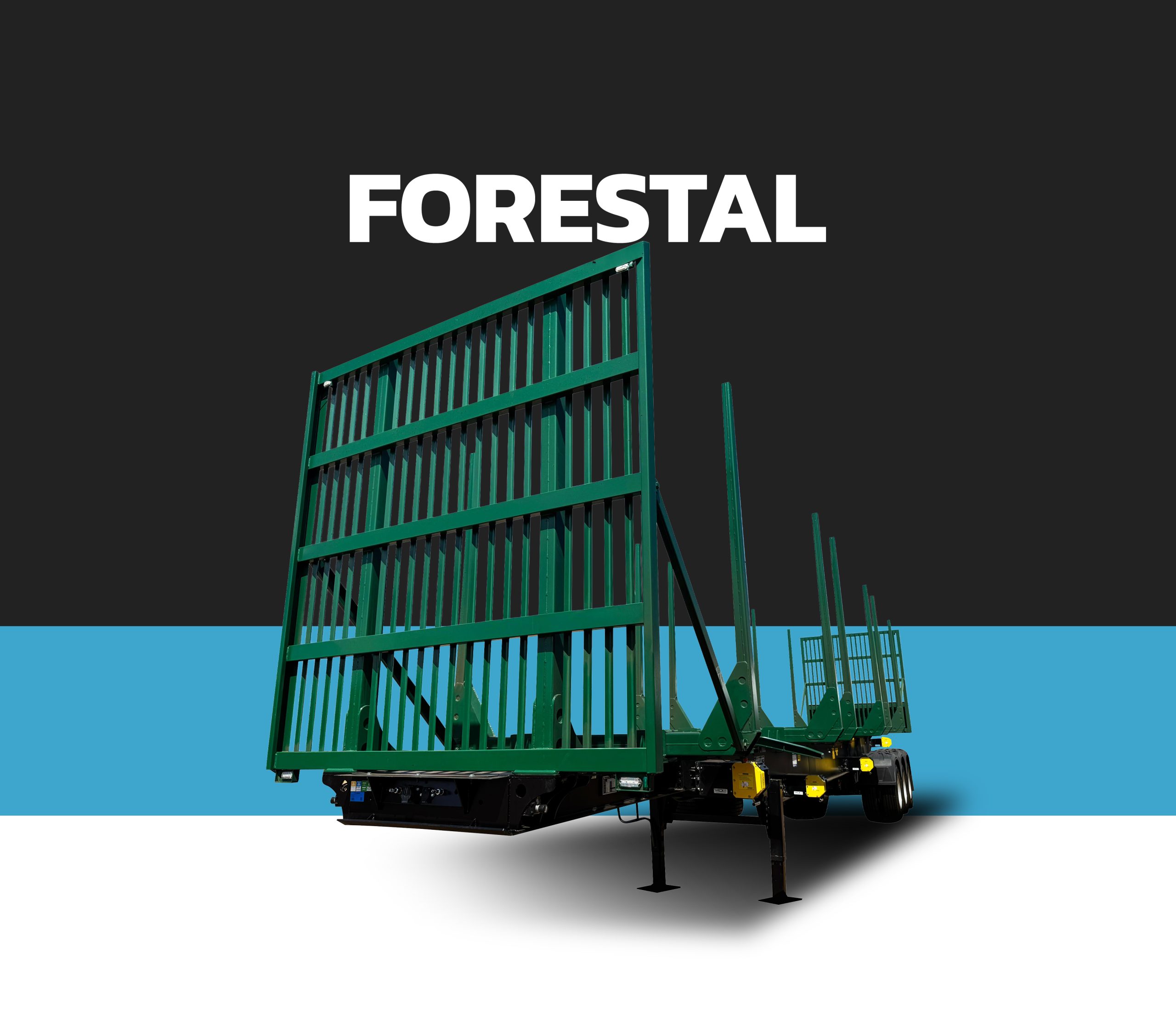 FORESTAL 1 (2)