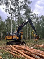 Imagen de WhatsApp 2025 10 29 a las 14.32.24 ce89f8d8